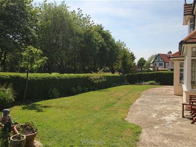 Picture 27